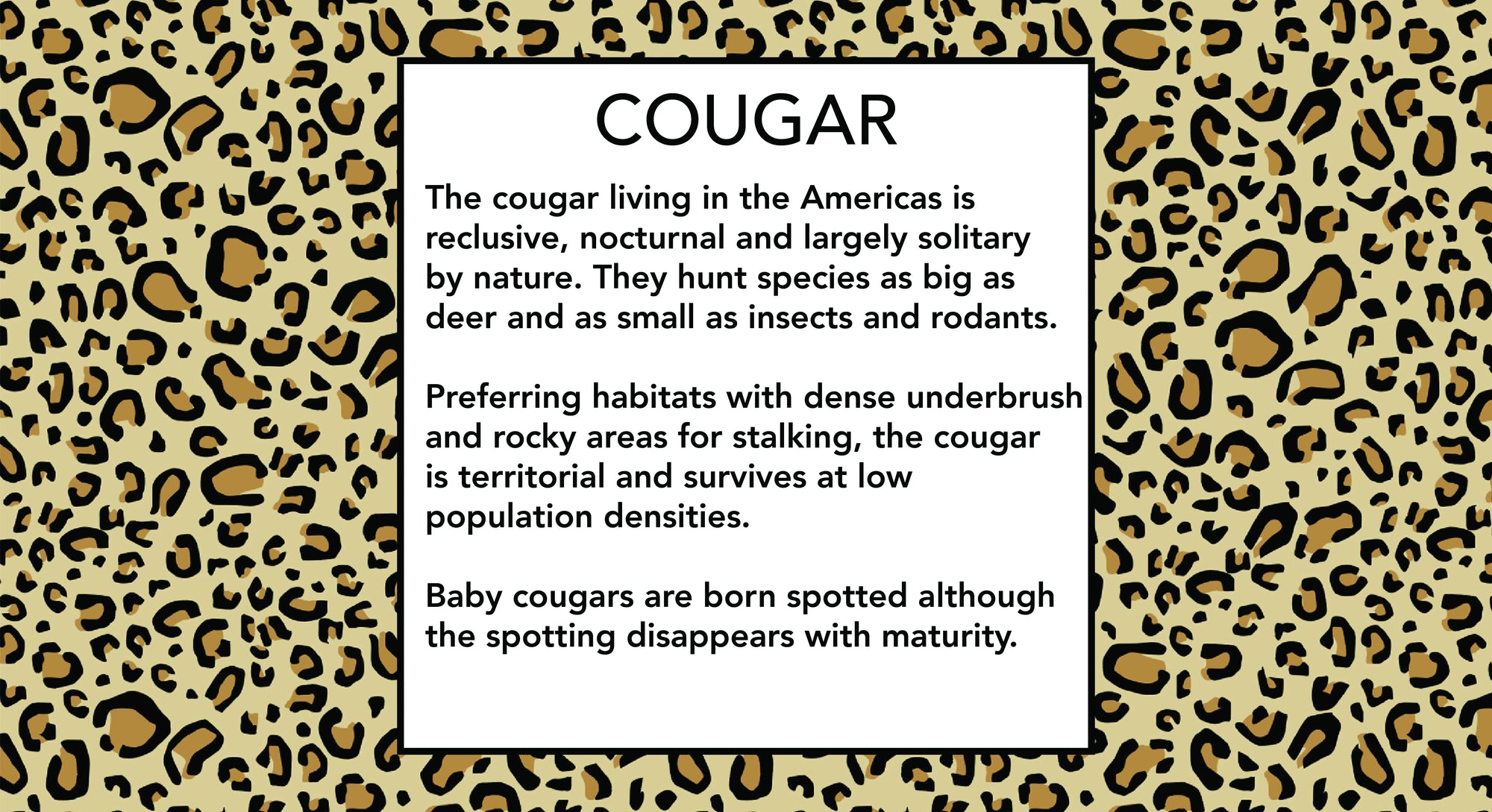 Cougar