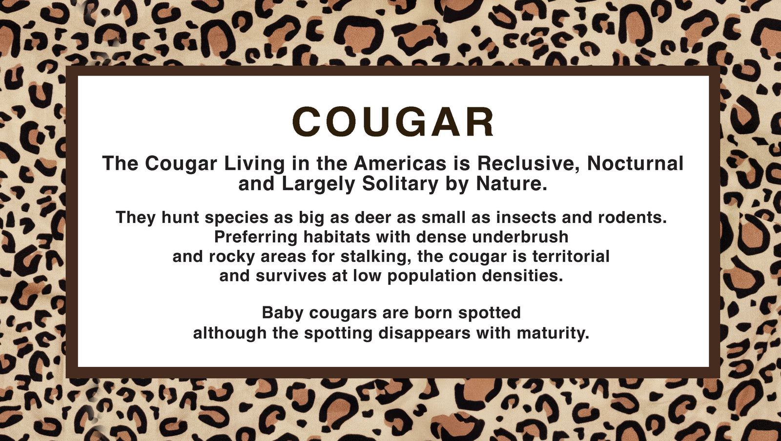 Cougar