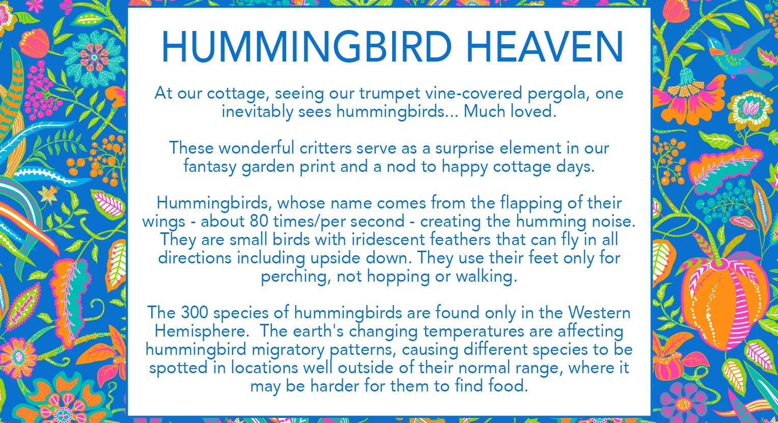 Hummingbird Heaven