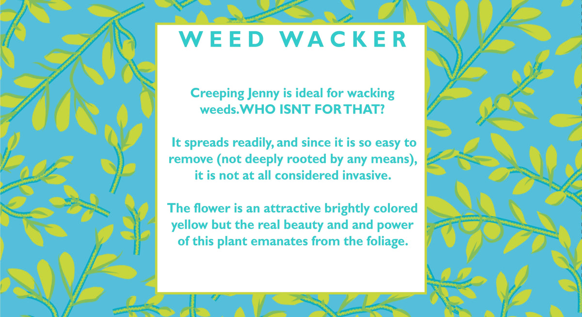Weed Wacker - Gretchen Scott