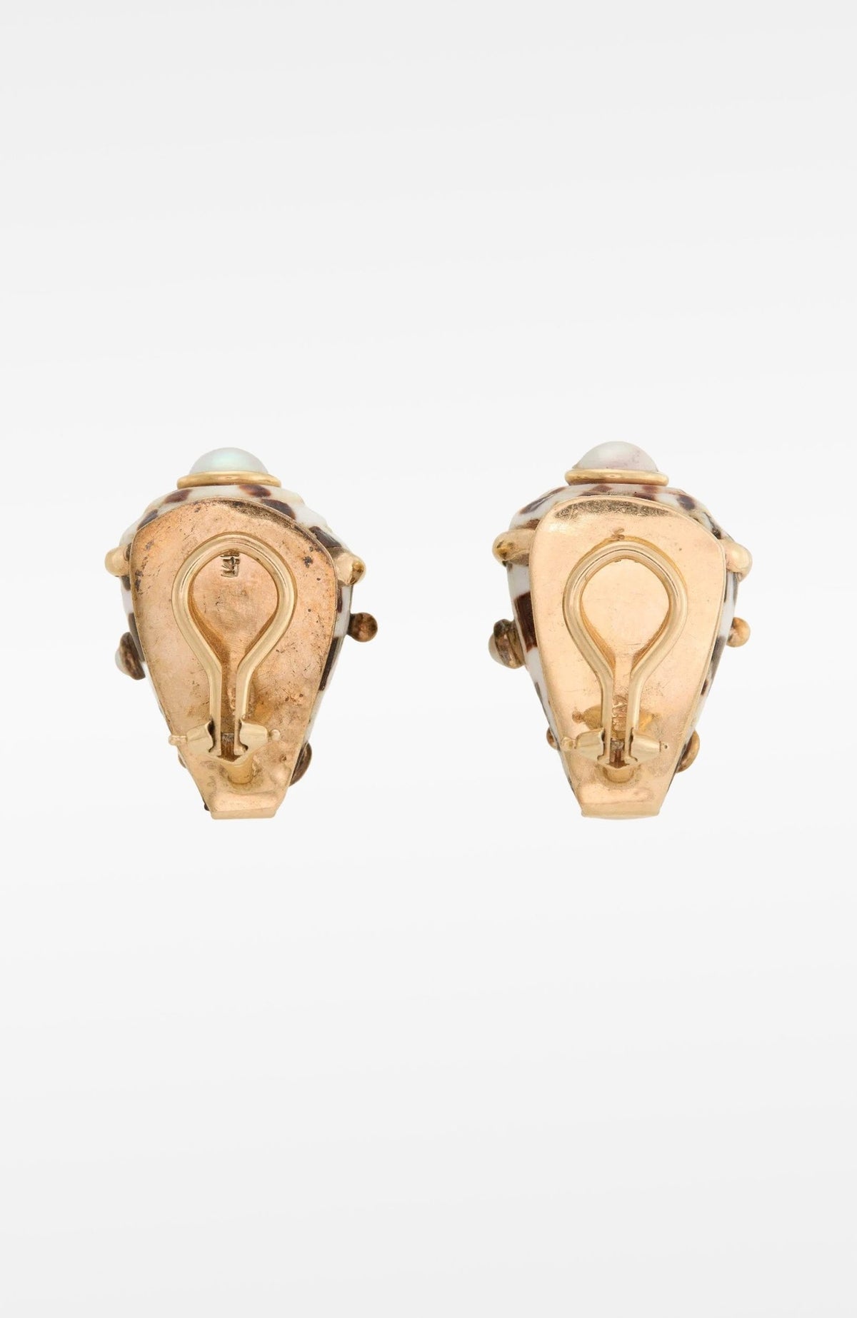 14k Gold Maz Shell & Cultured Pearl Earclips