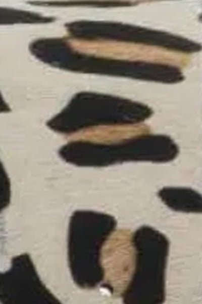 2 Inch Belted Bliss - Leopard - Gretchen Scott