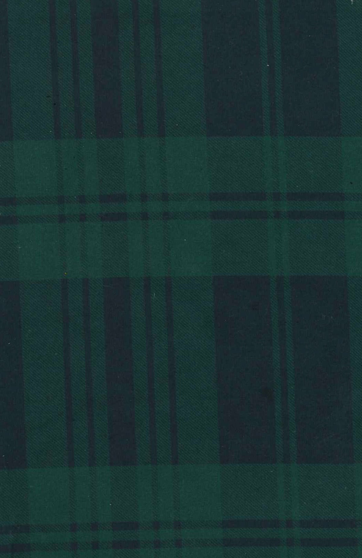 Puffer - Black Watch Plaid Navy Green