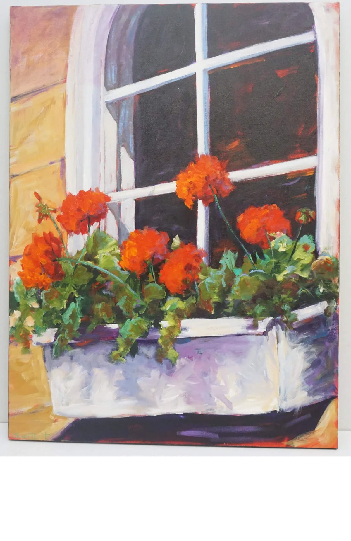 Susan Hecht Window Box Geraniums