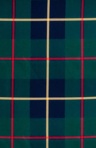 Teardrop Dress - Plaidly Cooper Green Multi