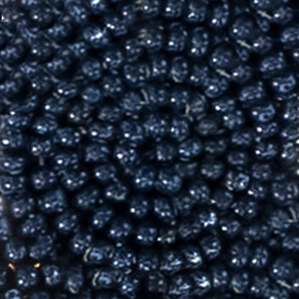 Beaded Glass Clip Tassel Earrings - Johannesburg Navy One Size