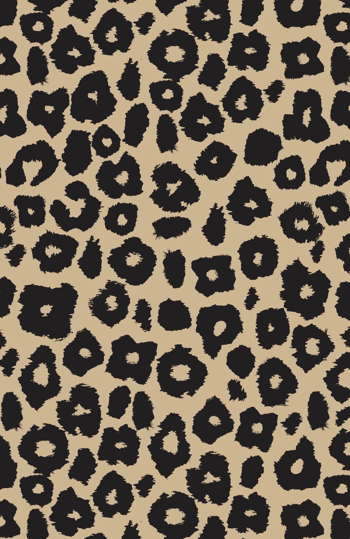 Boyfriend Shirt - Me Jane - Final Sale Champagne