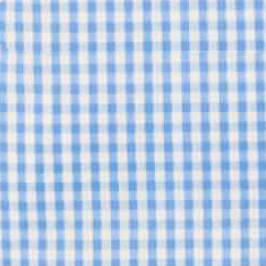 Cotton Gingham Tunic - The Reef Periwinkle