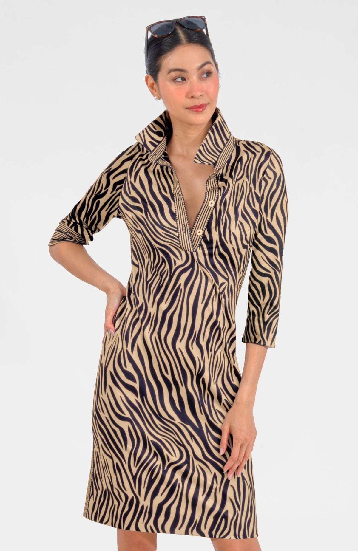 Everywhere Dress - Animal Instincts Zebra Khaki