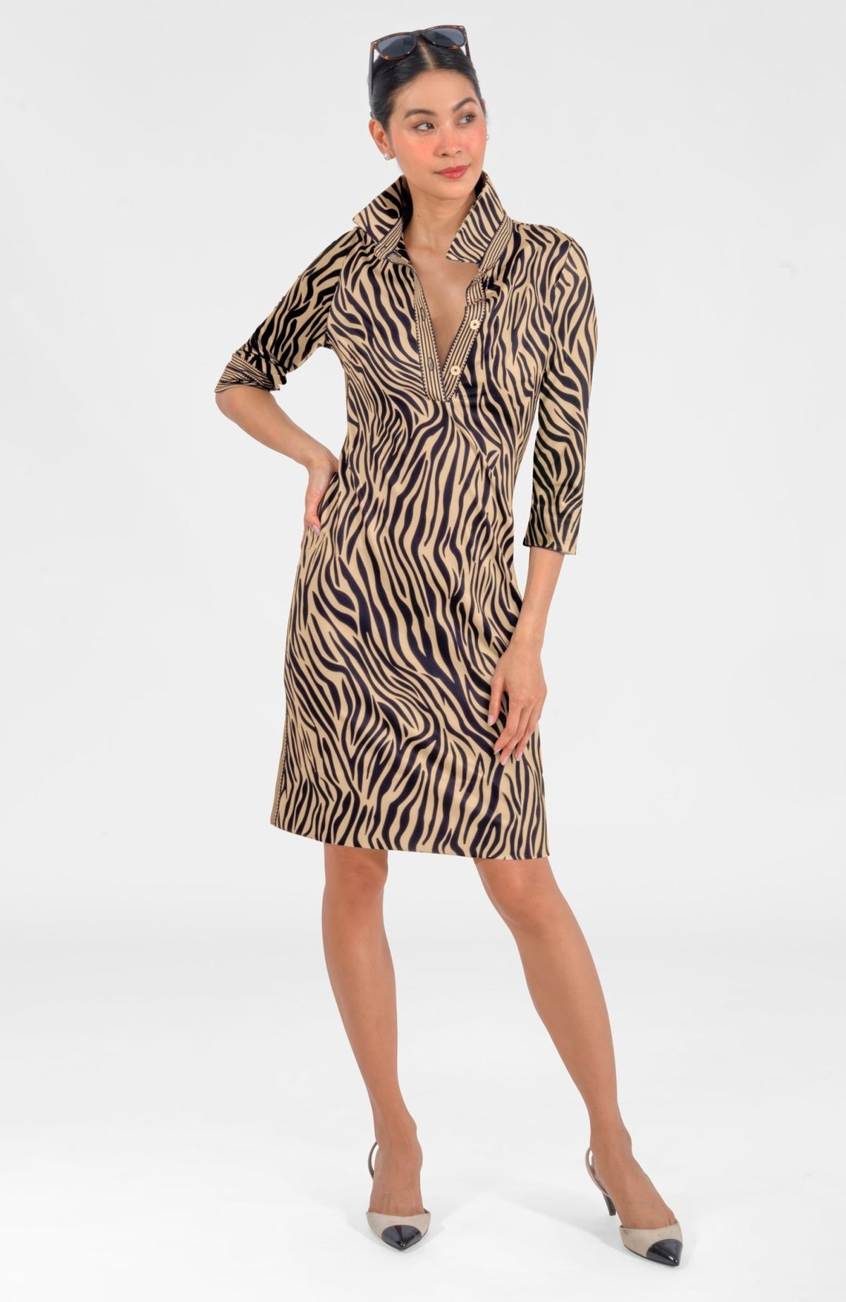 Everywhere Dress - Animal Instincts Zebra Khaki