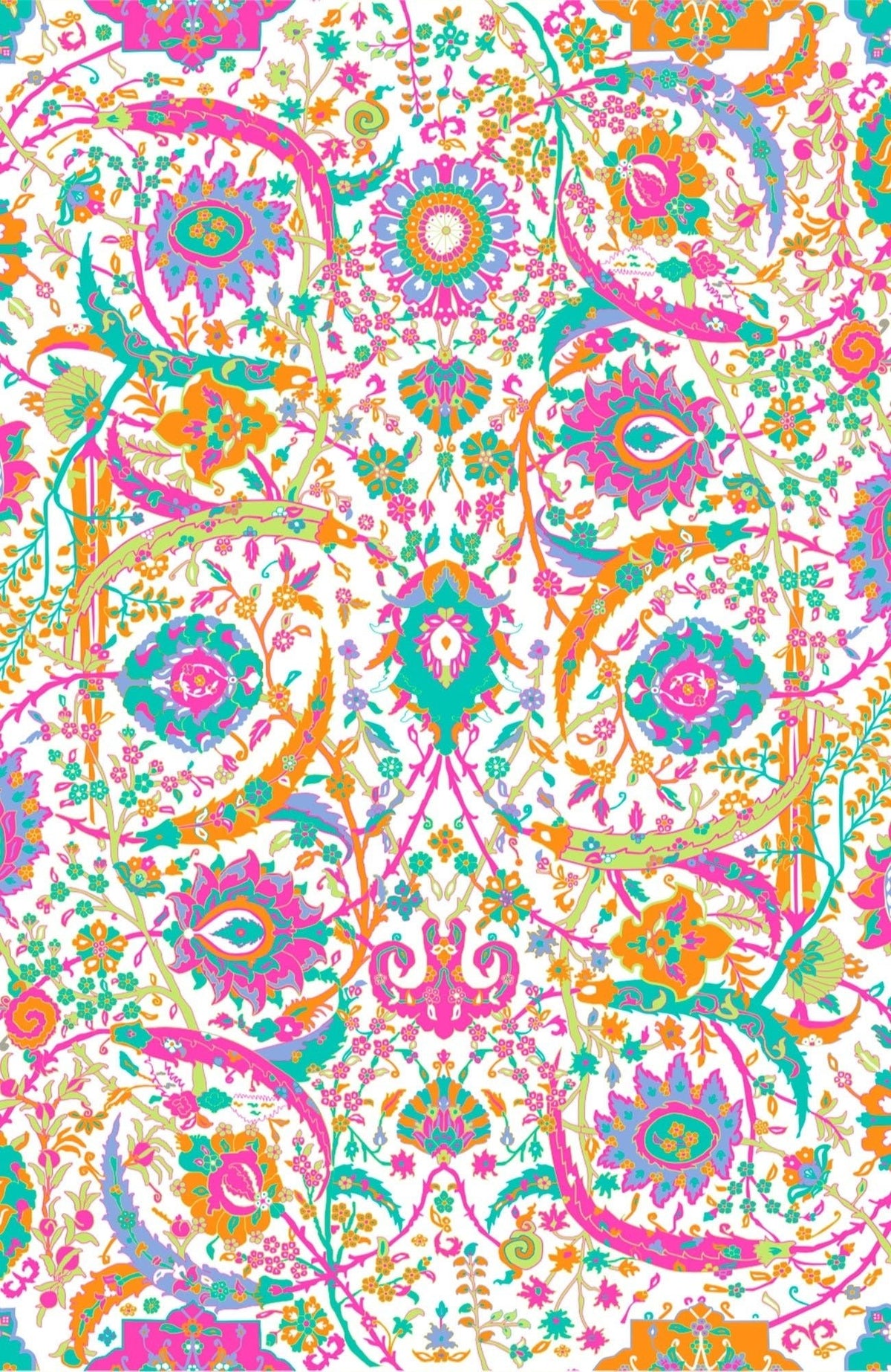 Gripeless Cotton Spandex Jeans - Magic Carpet - Final Sale Brights