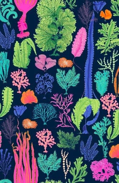 Double Trouble Jacket - Sea Sway - Final Sale Navy