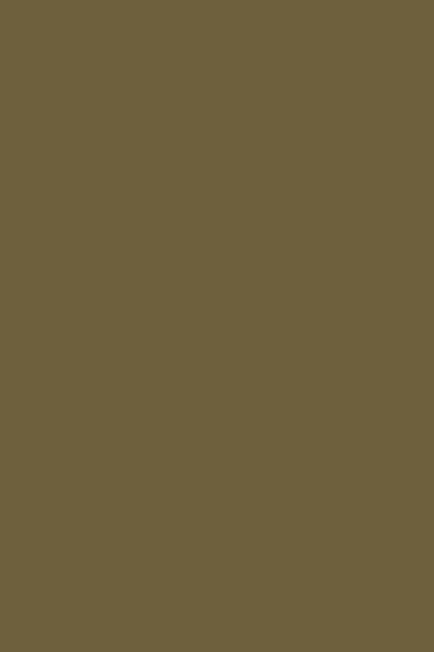 Gripeless Pull On Pants - Solid - Goddess (XXL) Olive