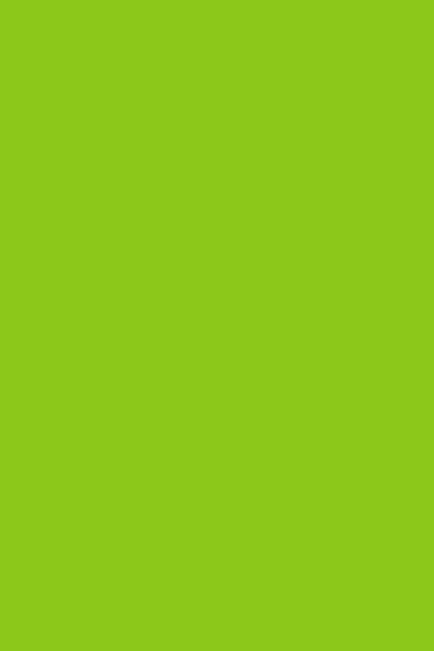 Gripeless Pull On Pants - Solid - Goddess (XXL) Lime
