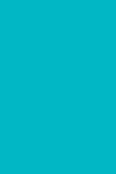 Gripeless Pull On Pants - Solid - Goddess (XXL) Turquoise
