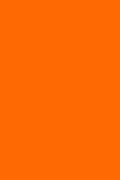 Gripeless Pull On Pants - Solid - Goddess (XXL) Tangerine