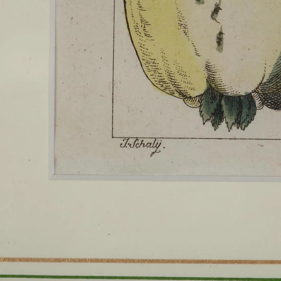 Group Of (5) Framed Antique Botanical Prints