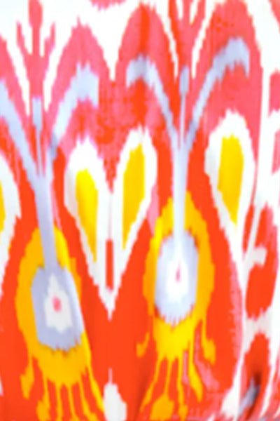 Hand Woven Silk Ikat Jacket Multi