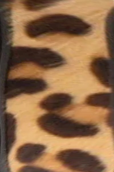 Headband Heaven - Leopard Leo Black