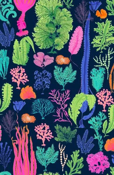 Kimono Jacket - Sea Sway - Final Sale Navy