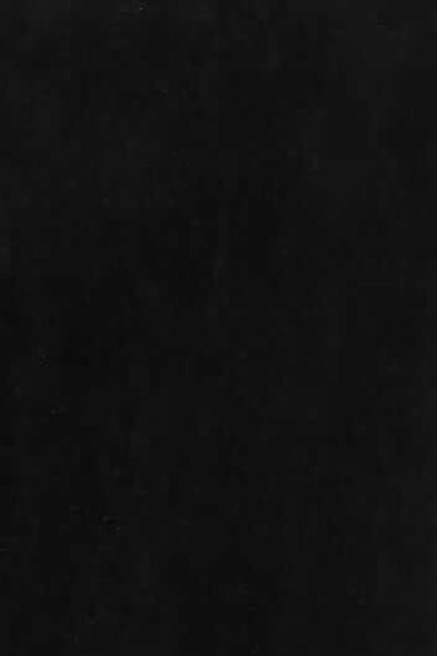 Mesh Embroidered Long Skirt - Net Game - Final Sale Black