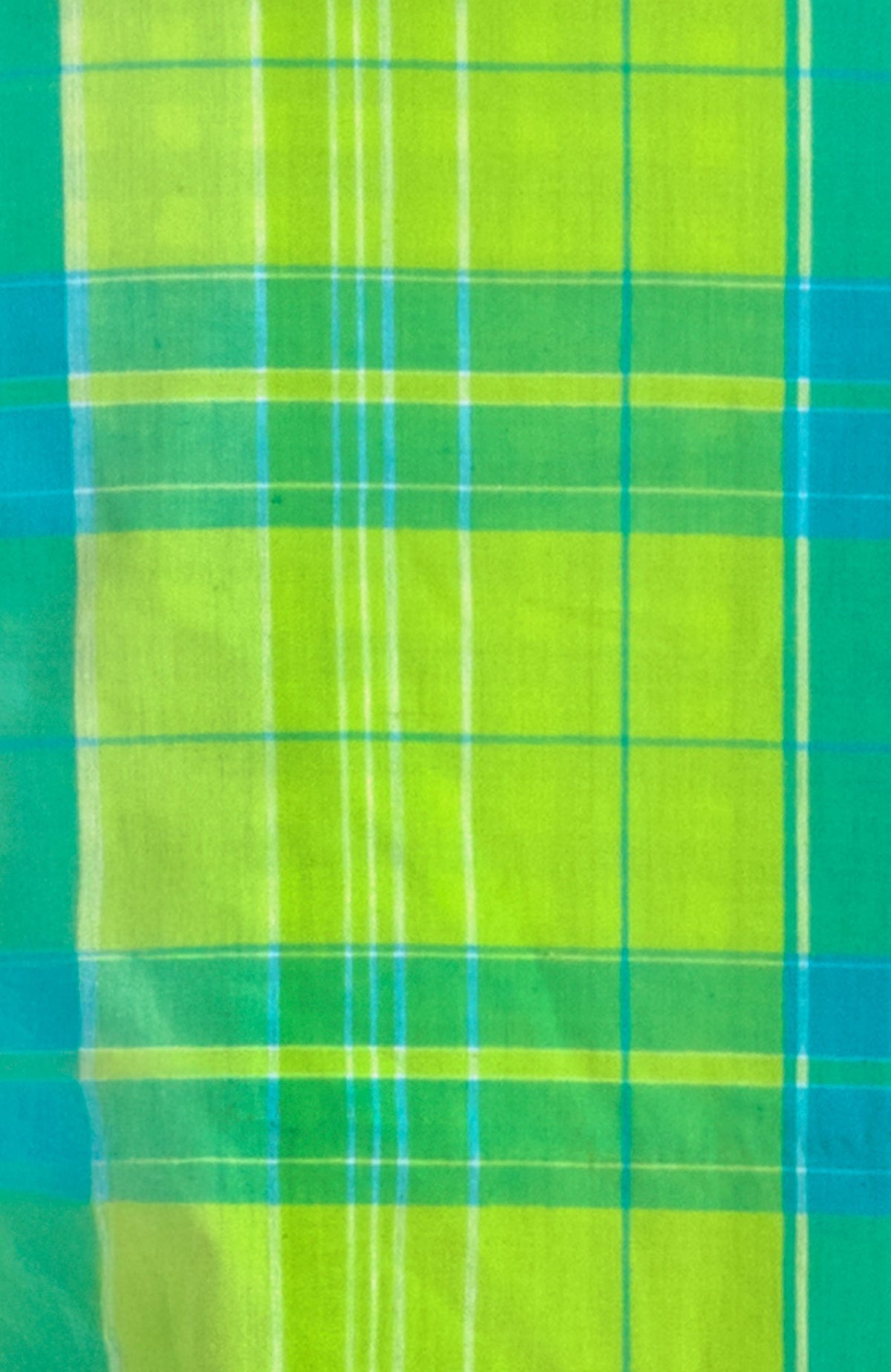 Picnic Time Boyfriend Shirt Turq Lime