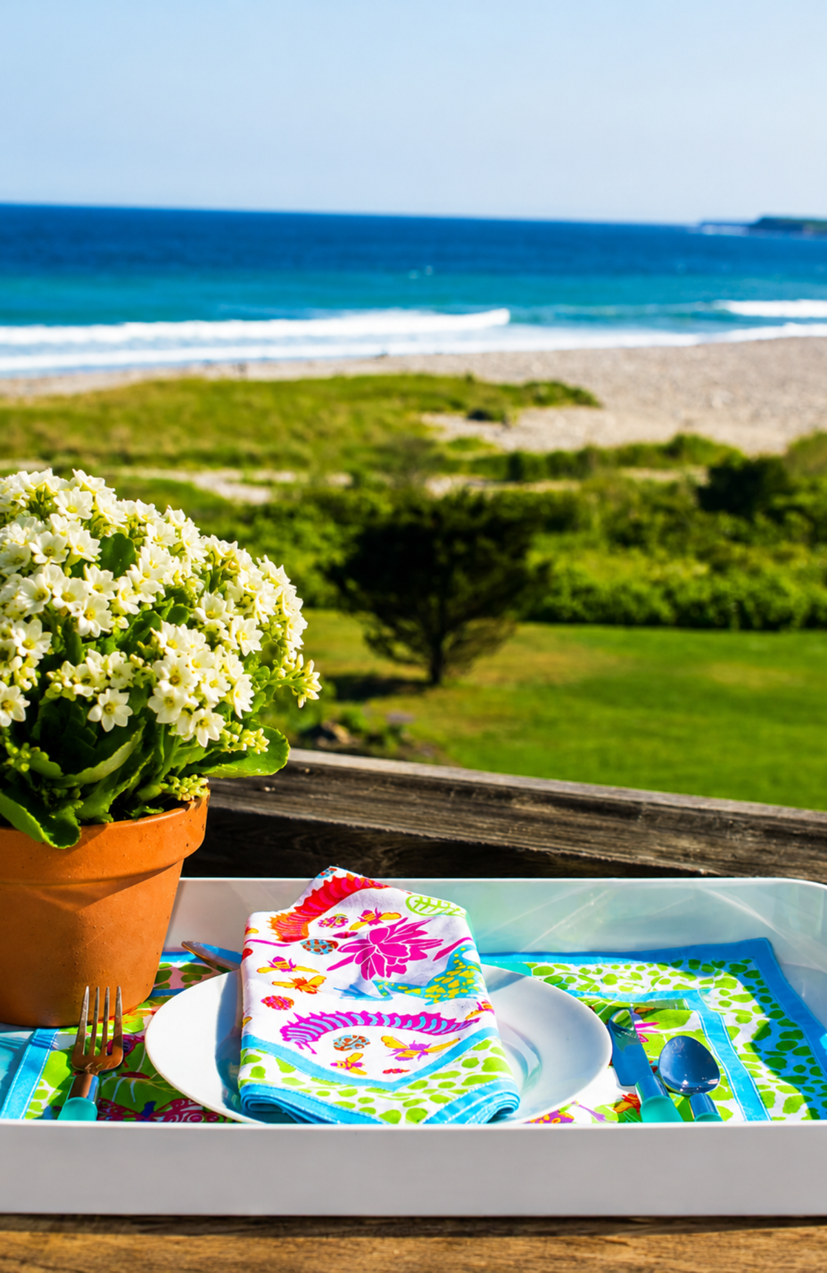 Place Setting - Pond Party