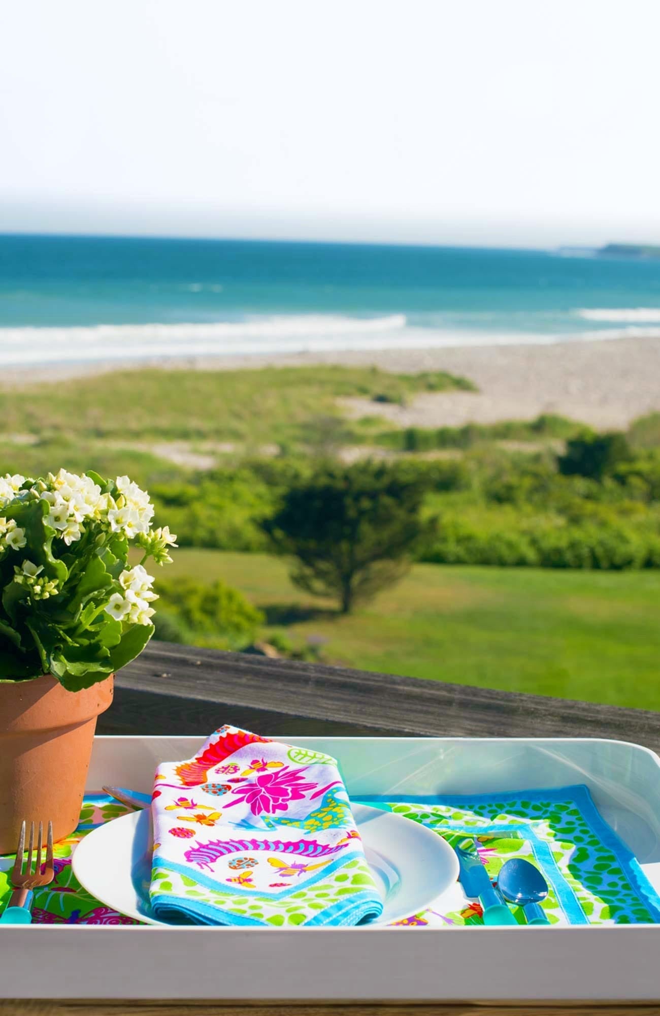 Place Setting - Pond Party