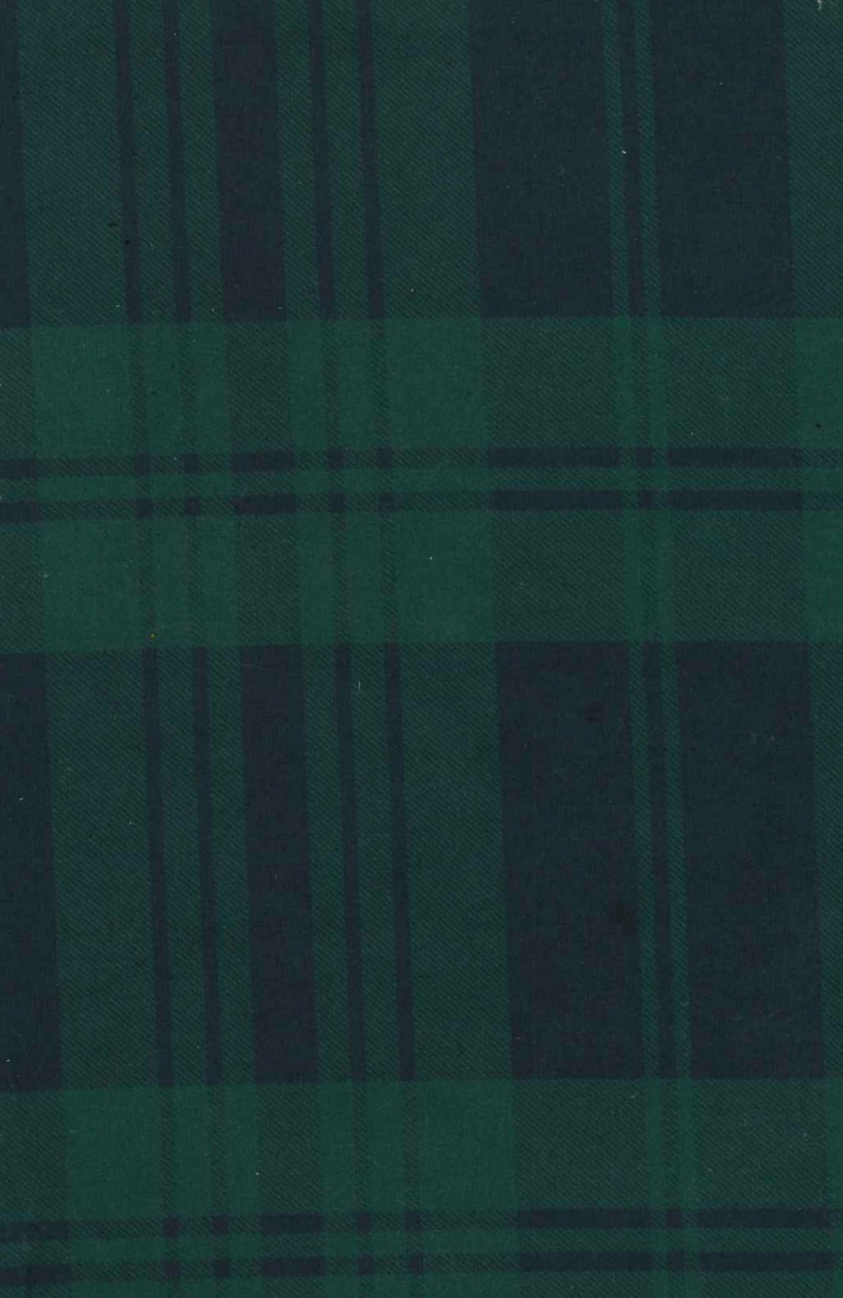 Puffer - Black Watch Plaid Navy Green