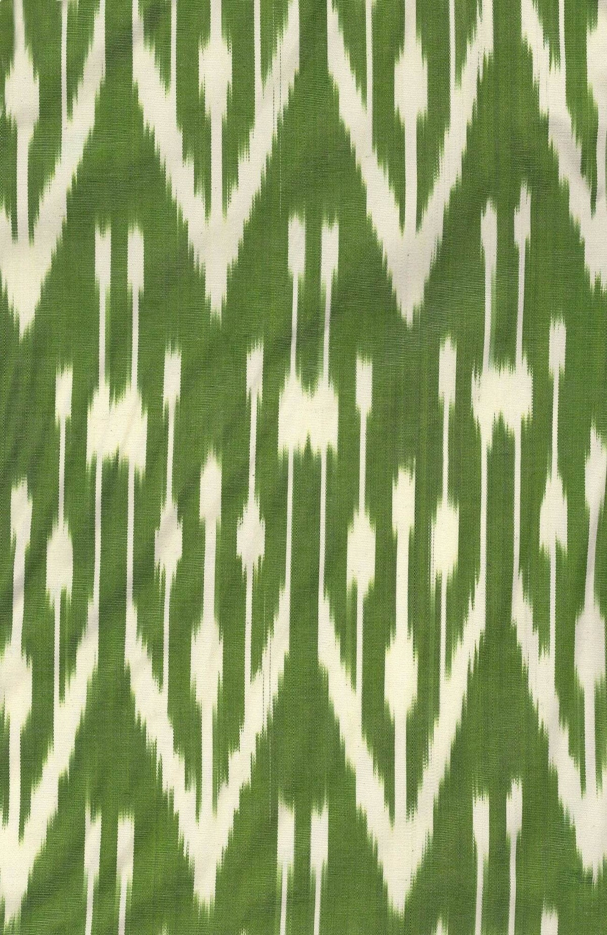 Hand Woven Silk Ikat Jacket Green White