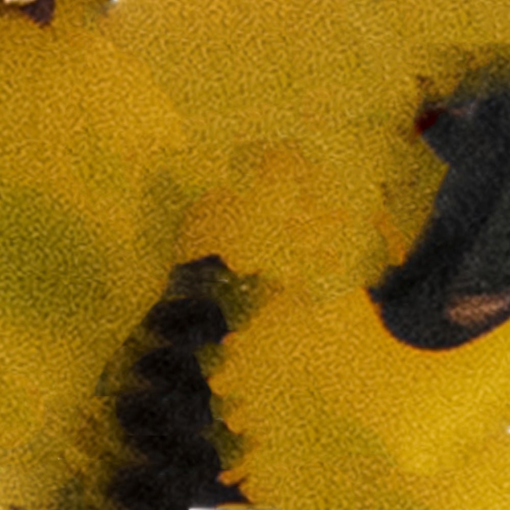 Stonehenge Earrings Tortoise One Size