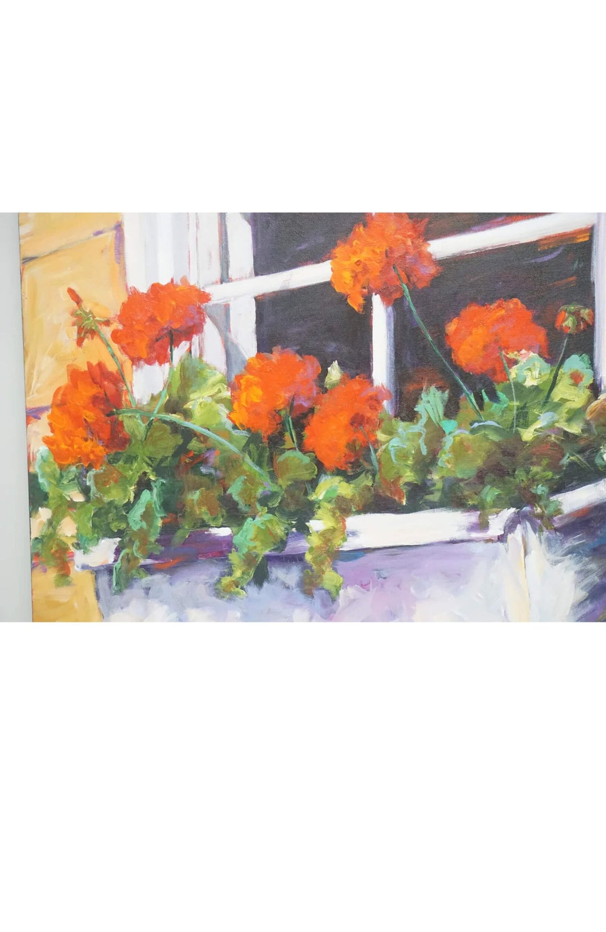 Susan Hecht Window Box Geraniums