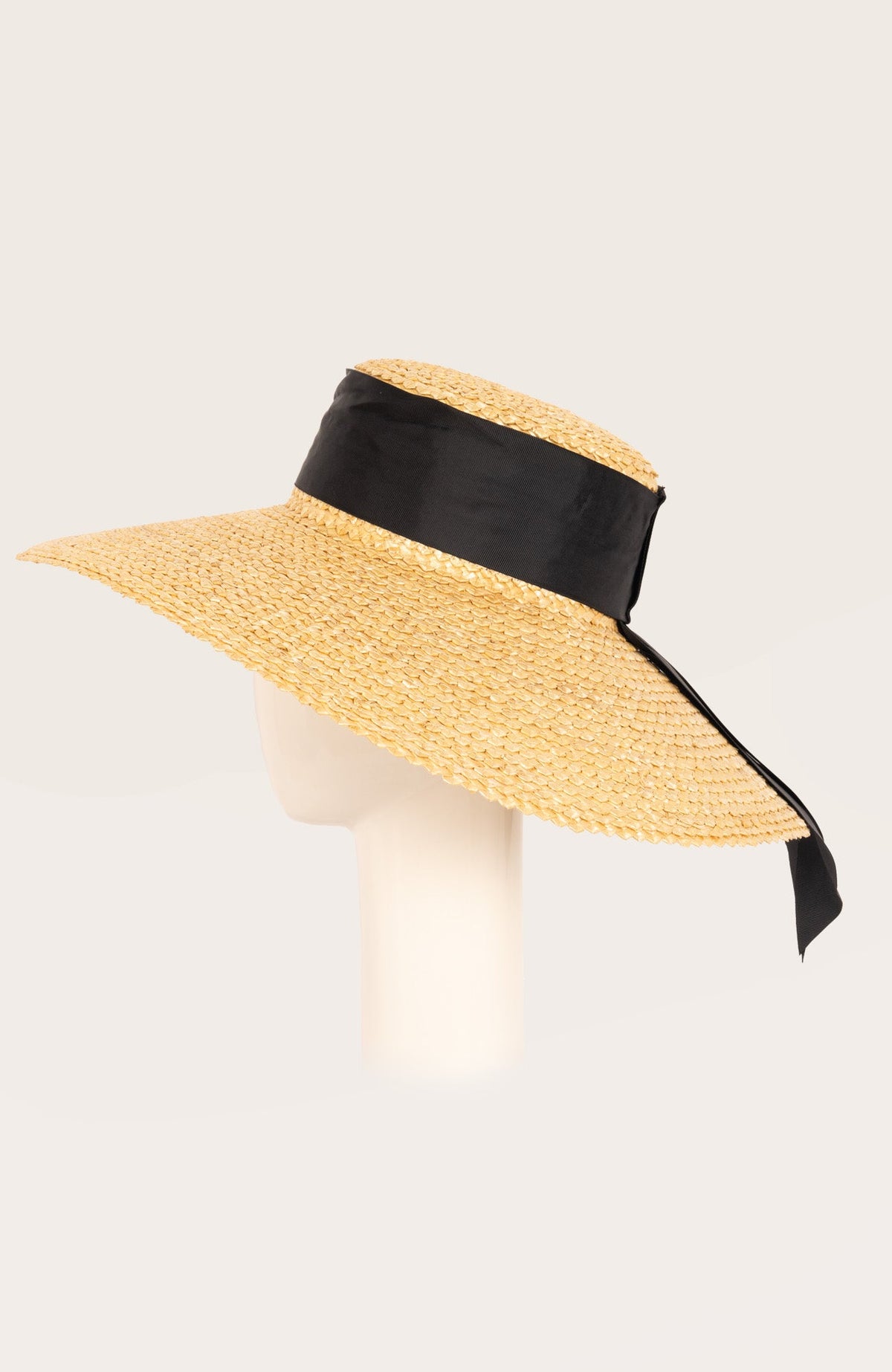 Toucan Straw Hat 6"