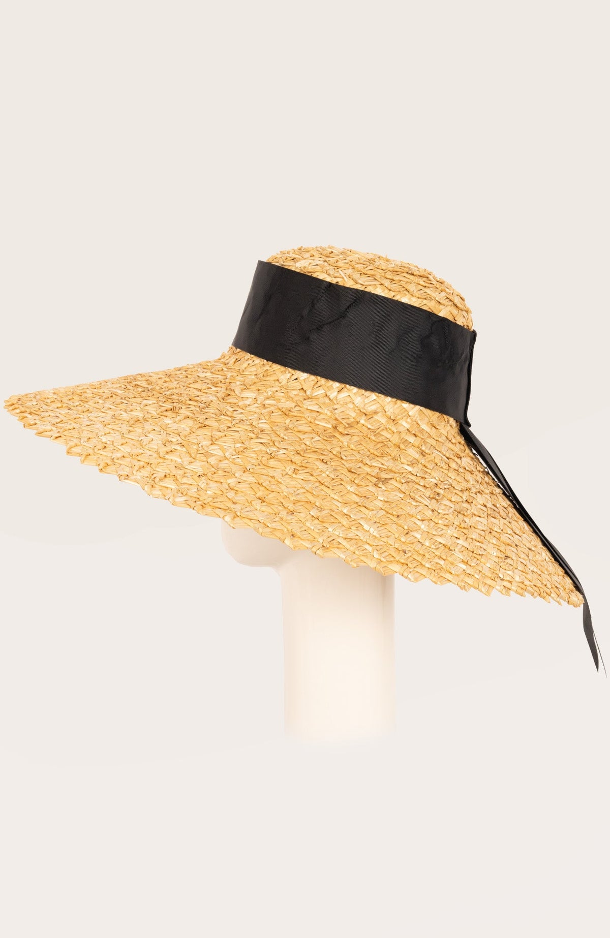 Toucan Straw Hat 7"