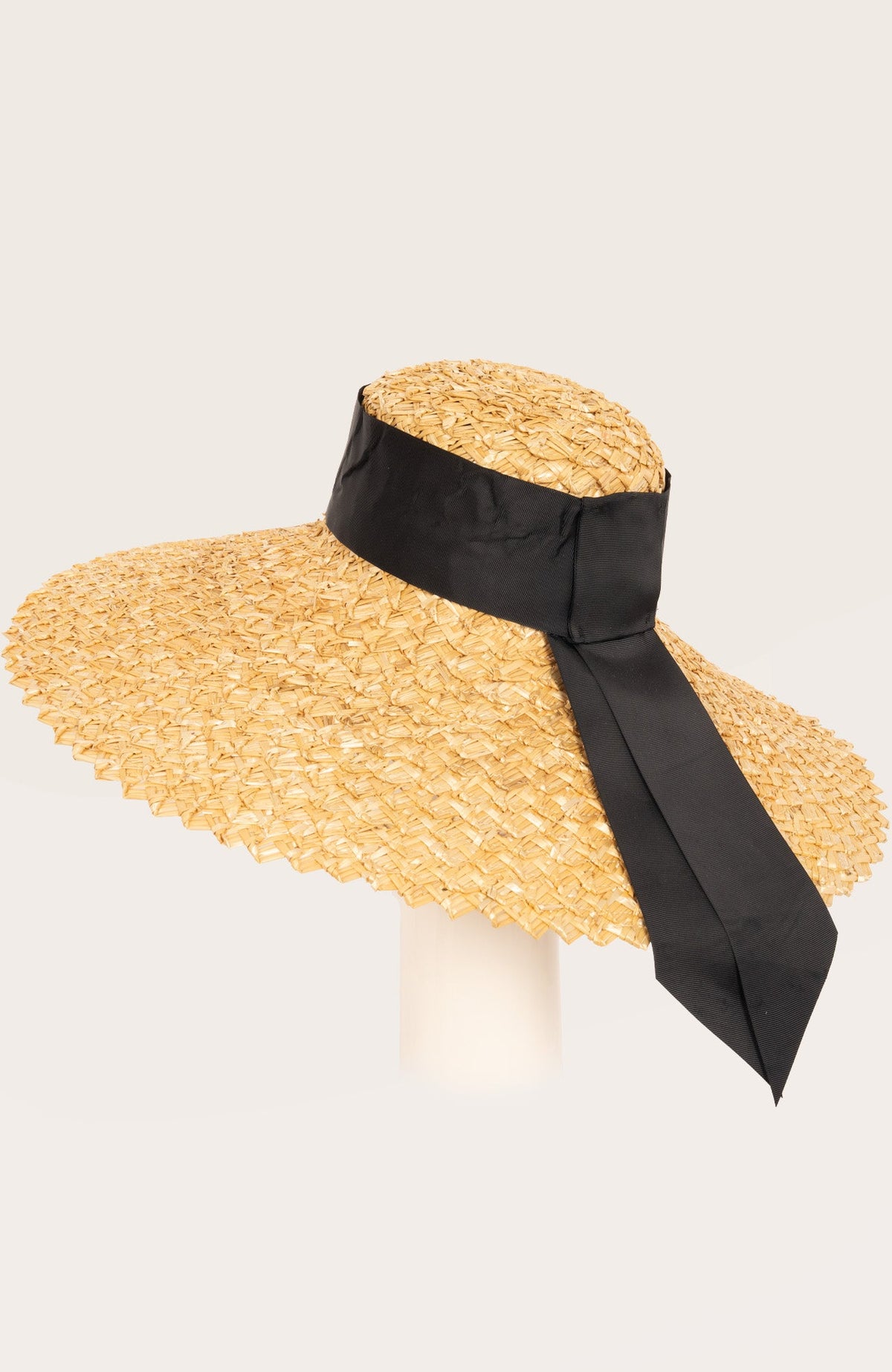 Toucan Straw Hat 7"