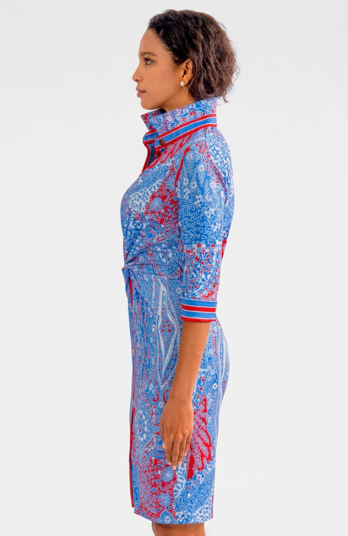 Twist & Shout Dress - Grand Bazaar Blues