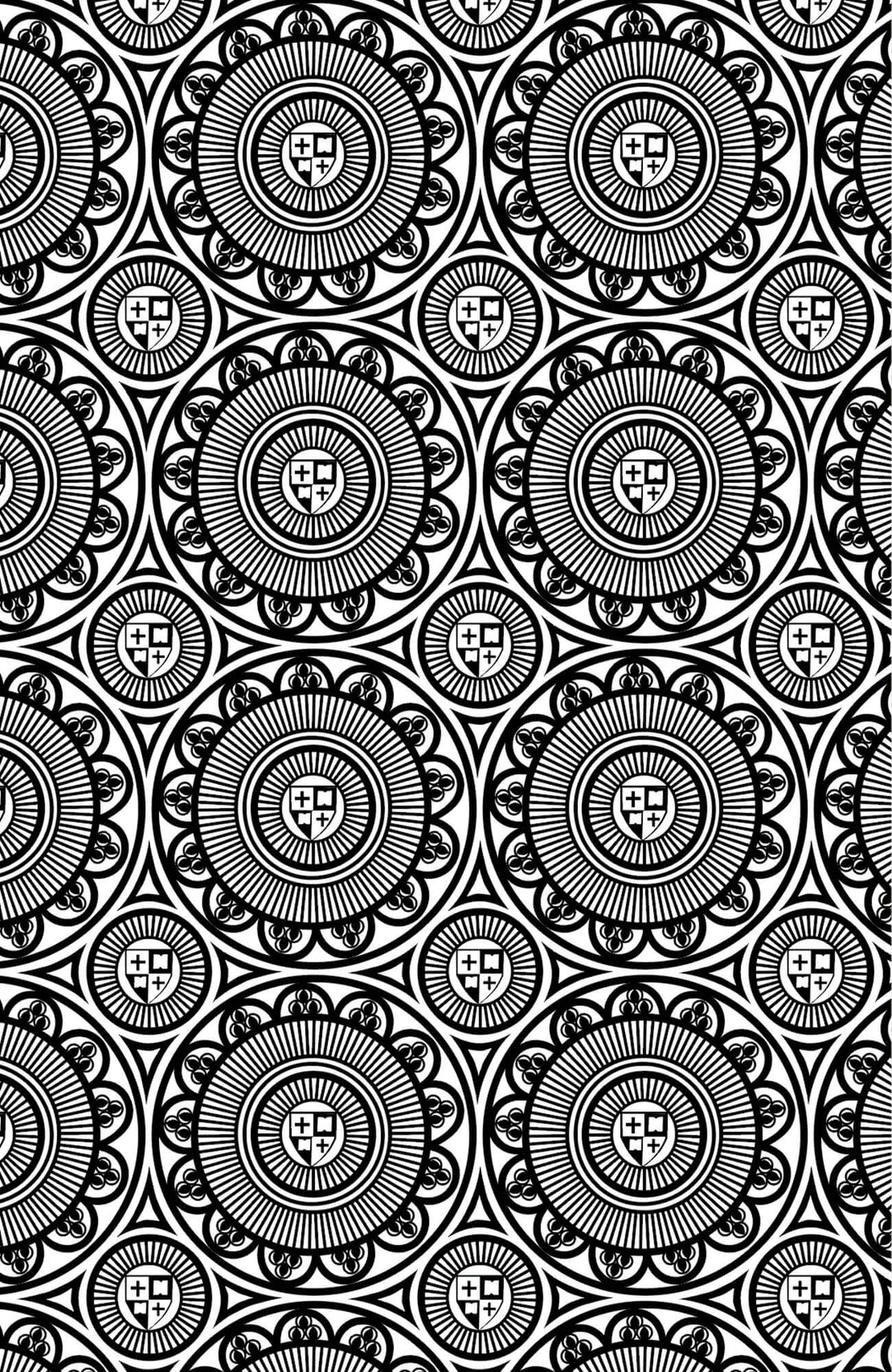 Work Out Shorts - St. Lawrence Black White