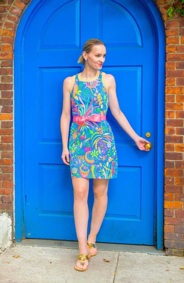 Button Back Dress - Hummingbird Heaven Blue Multi